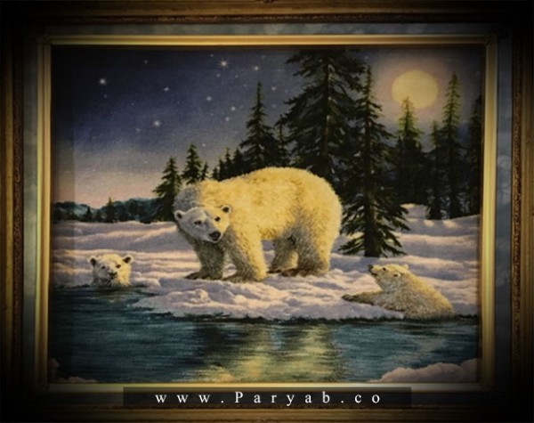 نام طرح:خرس قطبی