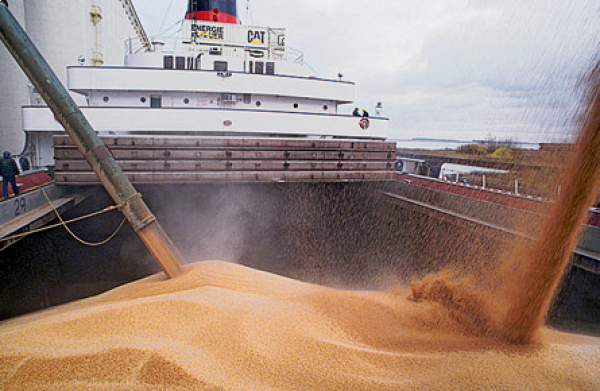 Иран закупил на внешних рынках крупную партию пшеницы